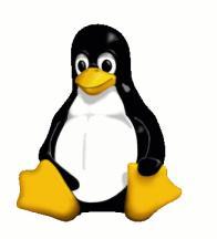 figure Tux.jpg